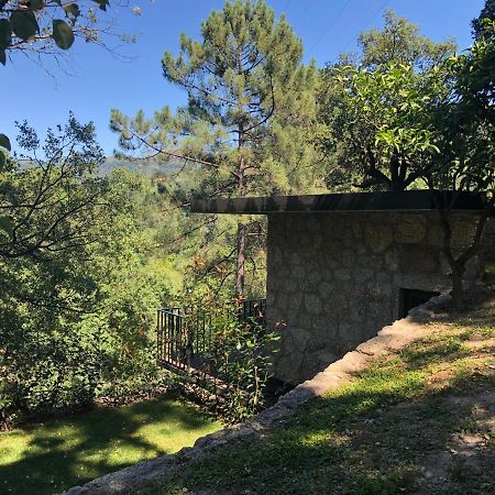 Sobreiro Valley - Casa Firmino Vieira do Minho Ngoại thất bức ảnh