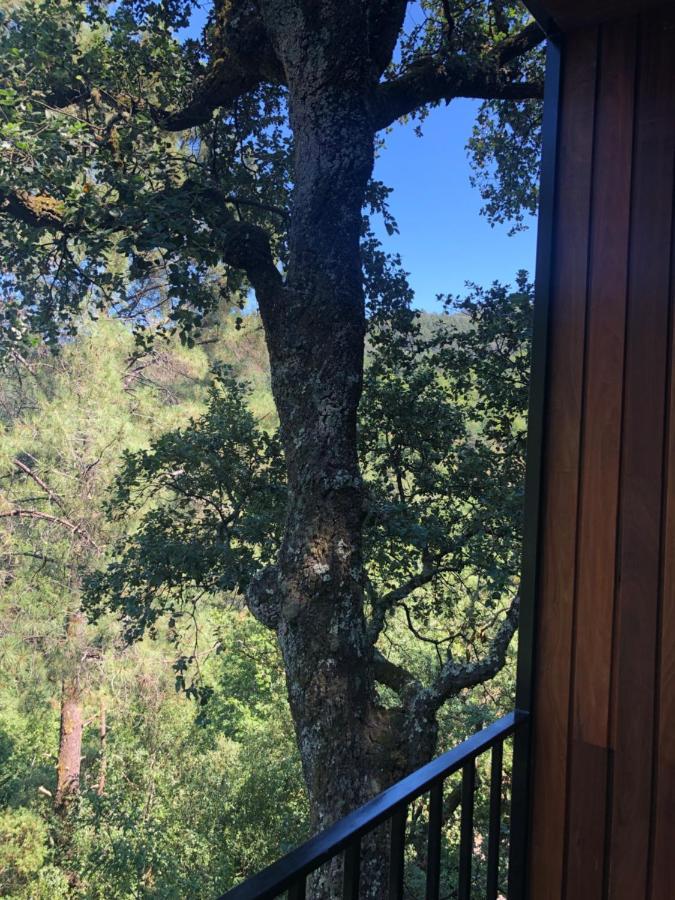 Sobreiro Valley - Casa Firmino Vieira do Minho Ngoại thất bức ảnh